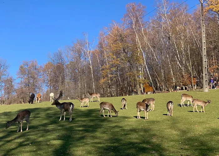 Siedem Zyczen Bed & Breakfast 3*